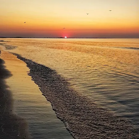 Topaz 2 * Констанца